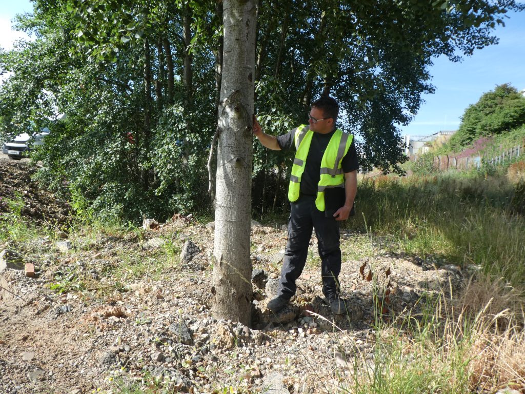 The Do’s and Don’ts of Trimming with a TPO ProHort