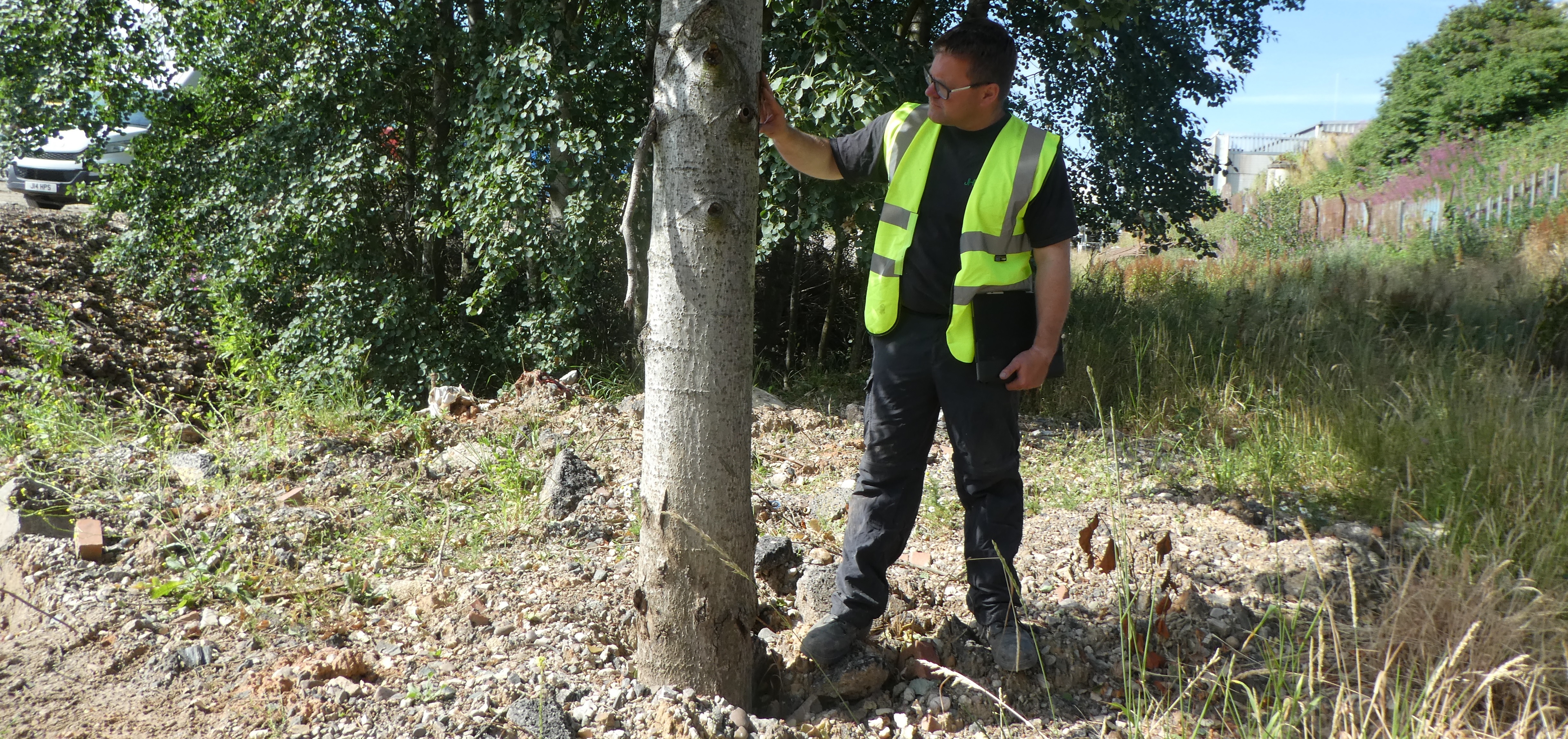 Tree Health Survey