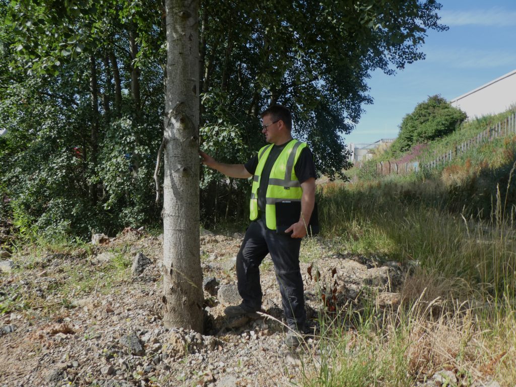 prohort-ltd-tree-surveys-and-tree-reports-in-manchester