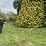 tree surveys in staffordshire