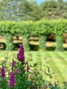 RHS Garden Bridgewater