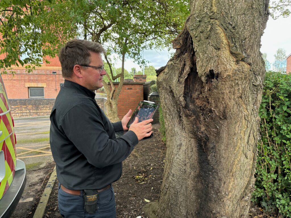 Phytophthora Testing in Birmingham