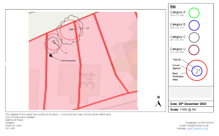 Root protection areas example