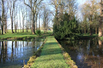 Ecology Surveys in Shrewsbury