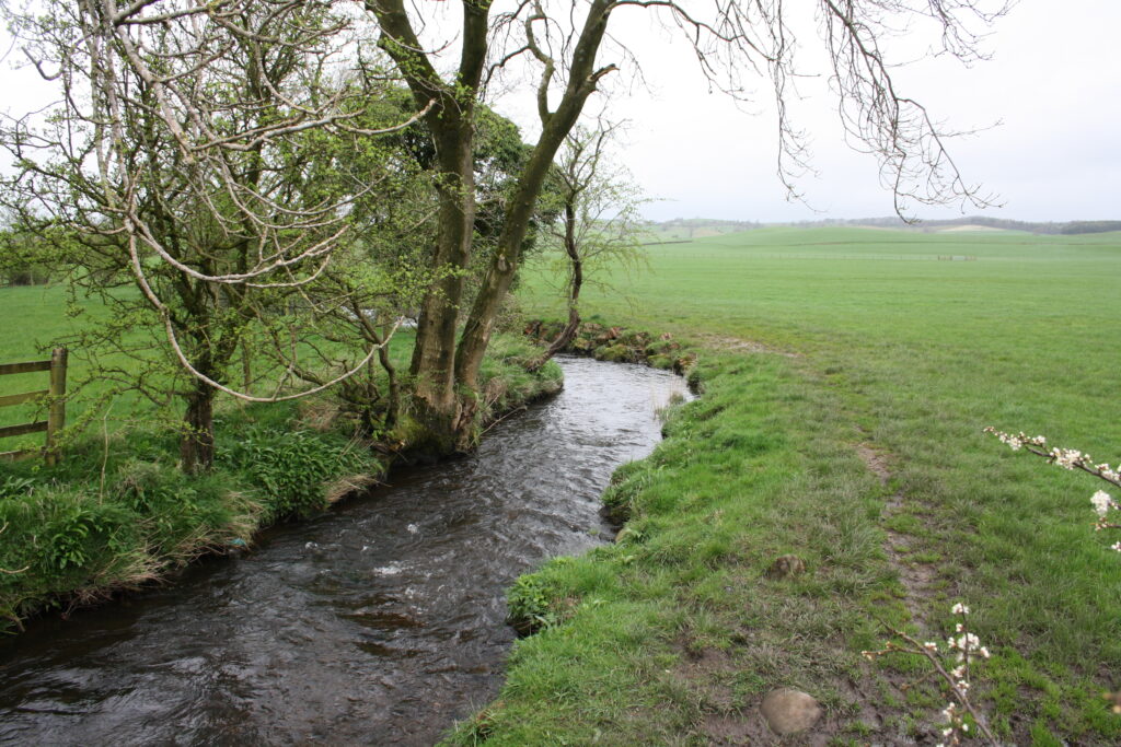 Ecology Surveys in Lancashire - ProHort Ecology Surveys in Lancashire
