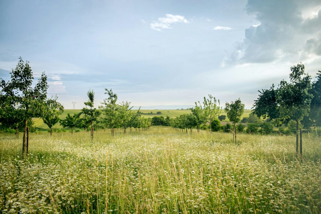 Ecology surveys in Yorkshire - ProHort Ecology surveys in Yorkshire