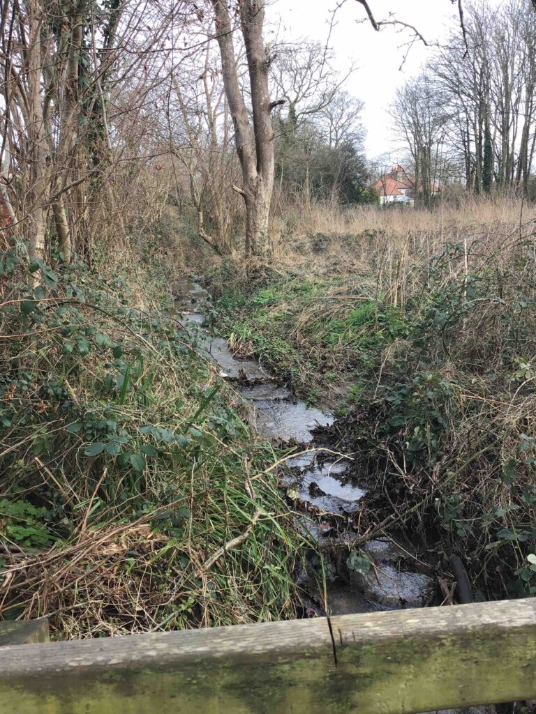 Preliminary Ecology Appraisal in Wales - ProHort Preliminary Ecology Appraisal in Wales