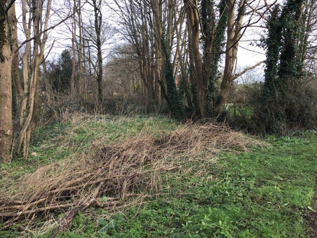 Preliminary Ecology Appraisal in Monmouthshire - ProHort Preliminary Ecology Appraisal in Monmouthshire