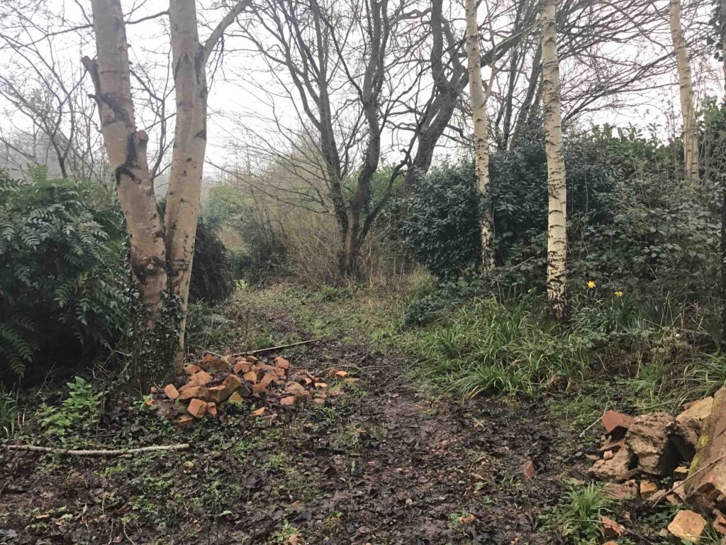 Preliminary Ecological Appraisal in Stratford-Upon-Avon - ProHort Preliminary Ecological Appraisal in Stratford-Upon-Avon