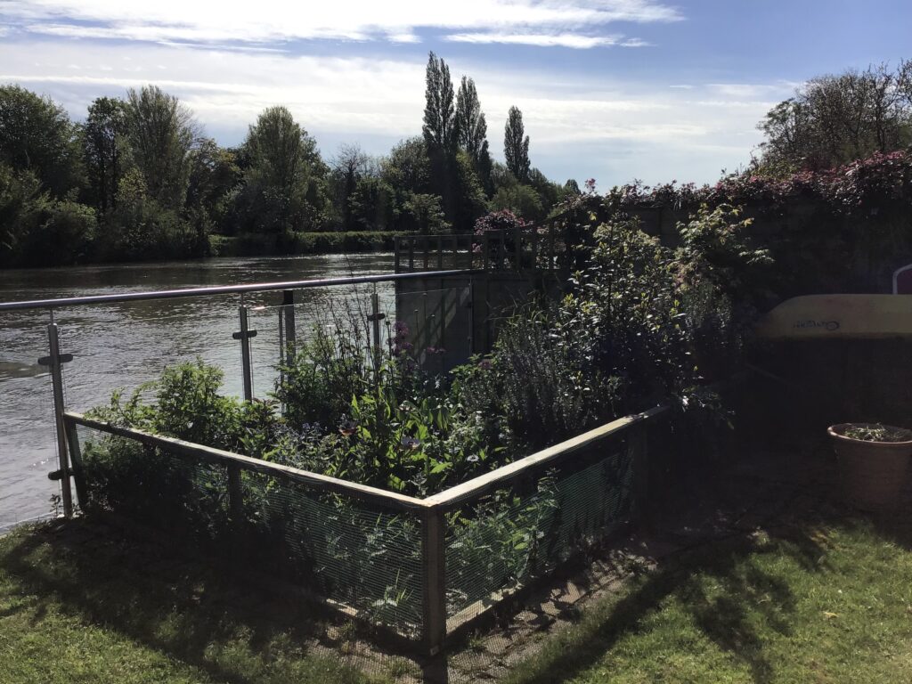 Preliminary Ecological Appraisal in Surrey