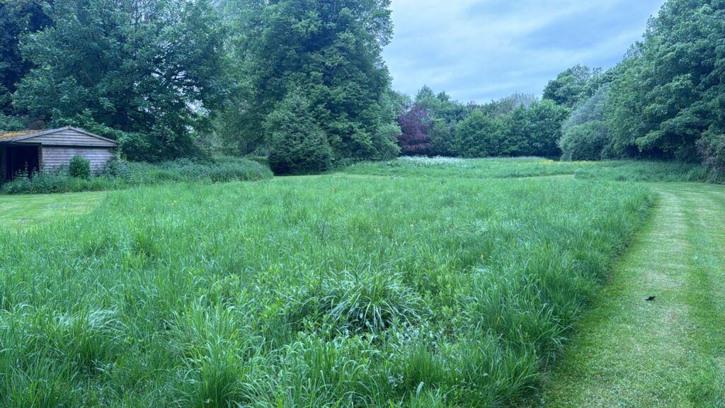 Biodiversity Net Gain Assessment