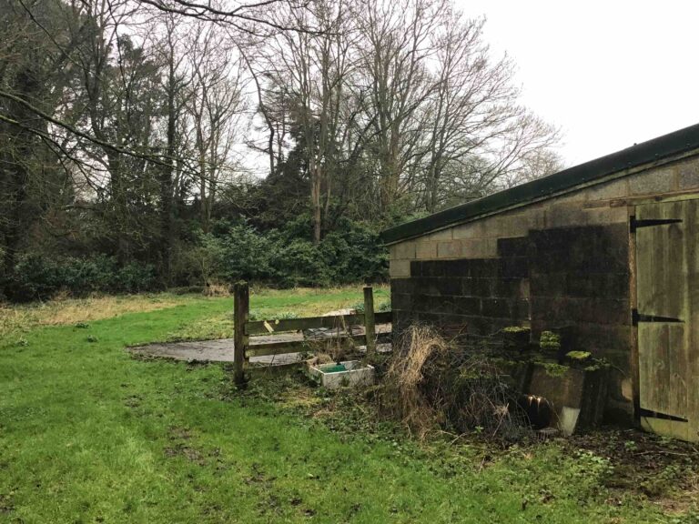Preliminary Roost Assessment in Northamptonshire