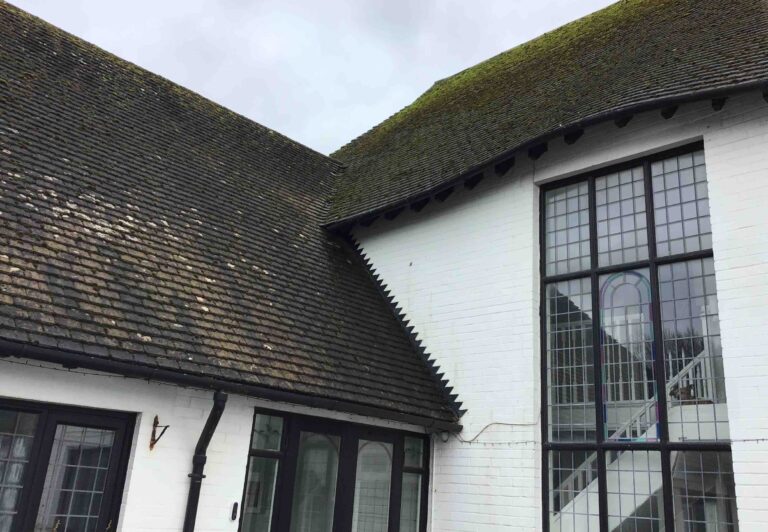 Preliminary Roost Assessment in West Sussex - ProHort Preliminary Roost Assessment in West Sussex