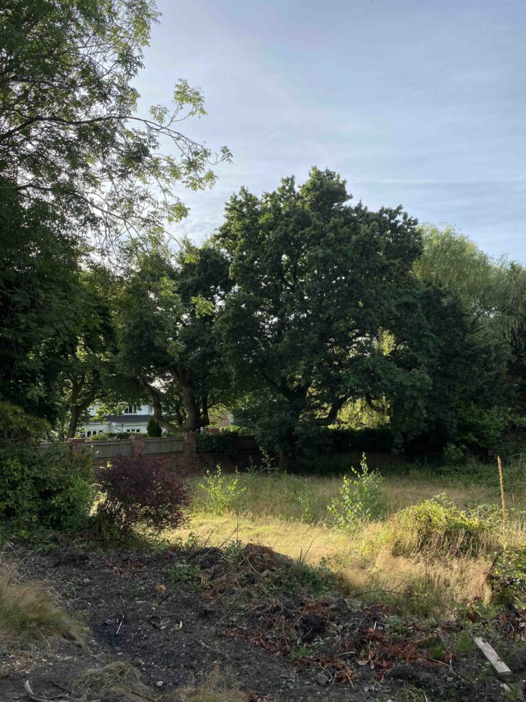 Biodiversity Net Gain Assessments in Birmingham