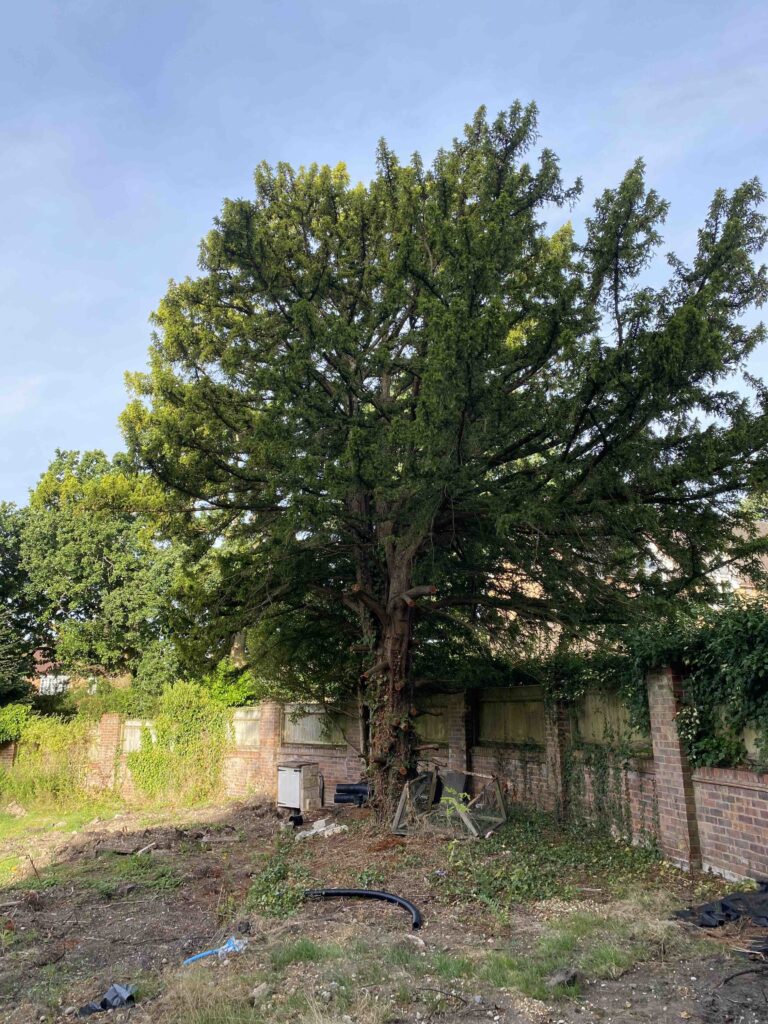 Biodiversity Net Gain Assessments in Solihull - ProHort Biodiversity Net Gain Assessments in Solihull
