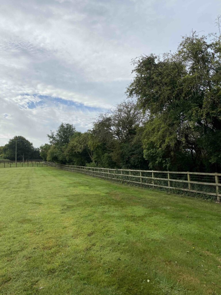 Andover - ProHort Biodiversity Net Gain Assessment in Hampshire