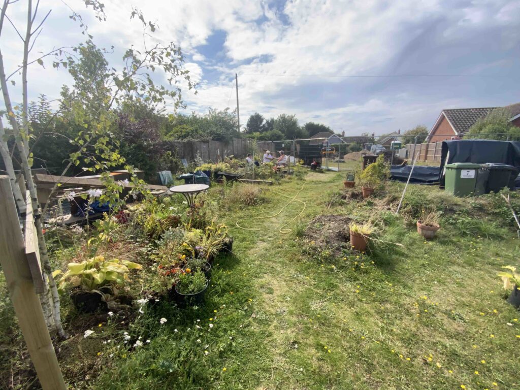 Biodiversity Net Gain Assessments in Norfolk - ProHort Biodiversity Net Gain Assessments in Norfolk
