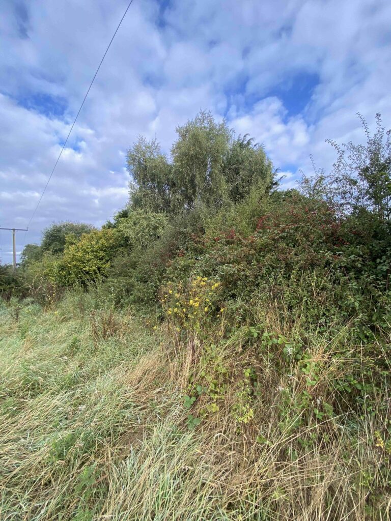 Preliminary Ecology Appraisal in Shropshire - ProHort Preliminary Ecology Appraisal in Shropshire