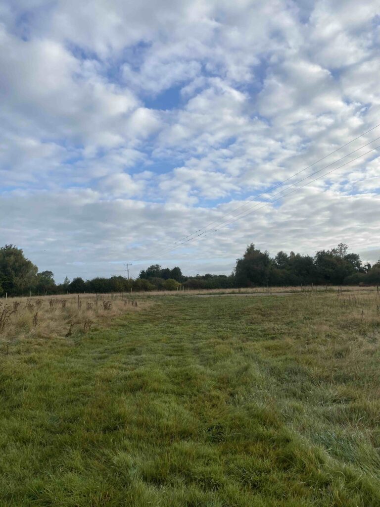 Preliminary Ecology Appraisal in Shropshire - ProHort Preliminary Ecology Appraisal in Shropshire