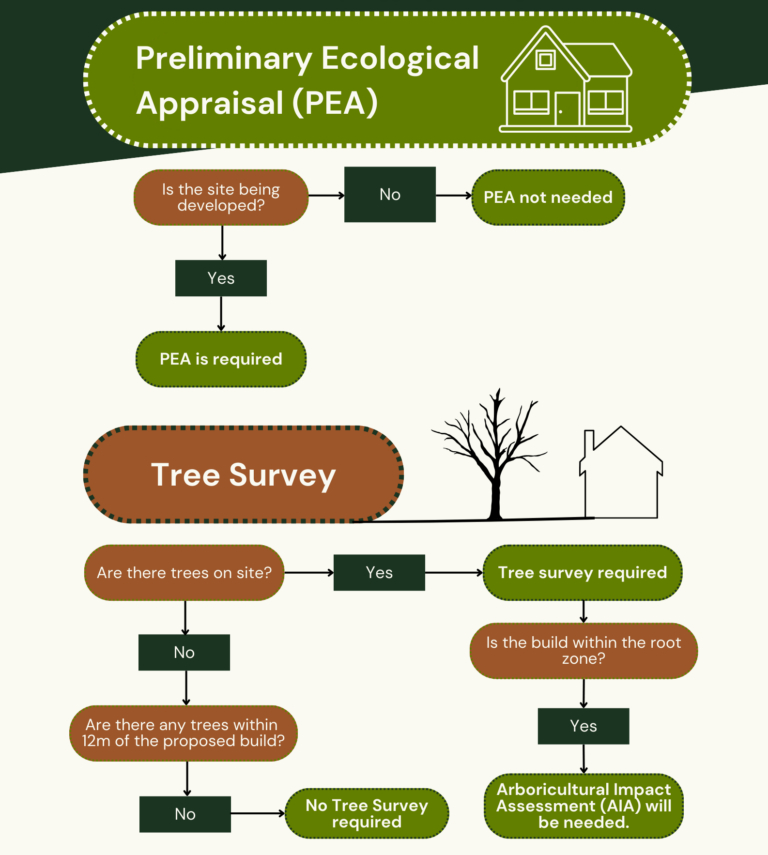 Preliminary Ecological Appraisal Flowchart