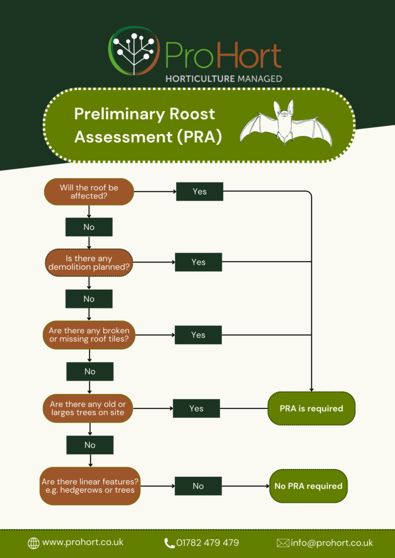 Preliminary Roost Assessment Flowchart