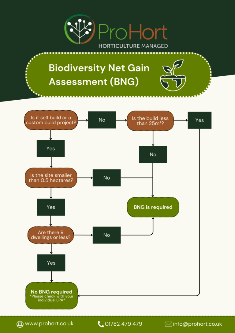 Biodiversity Net Gain FlowChart