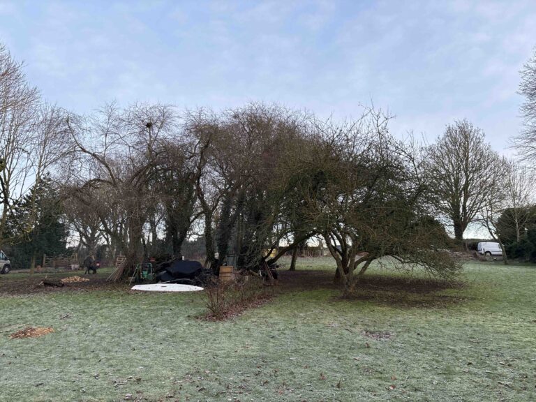 Ecologist in Lincolnshire - ProHort Ecologist in Lincolnshire