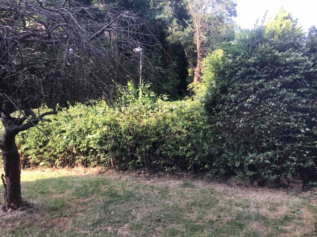 Ecologist in Birmingham - ProHort Ecologist in Birmingham