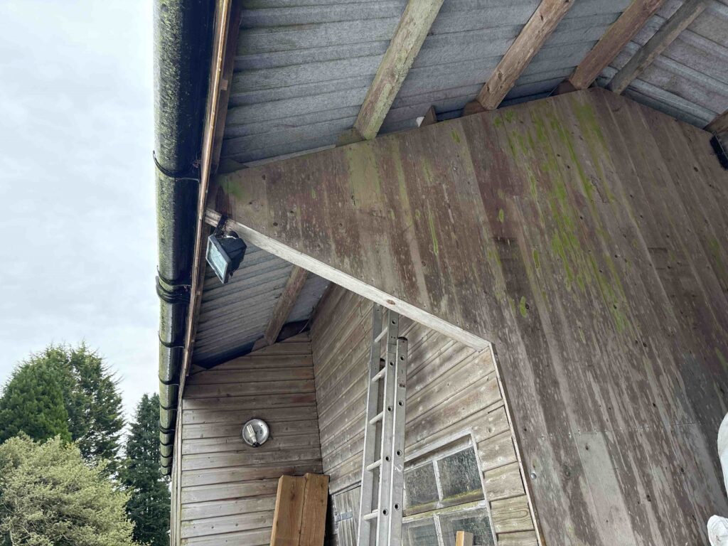 Preliminary Roost Assessment in Shropshire
