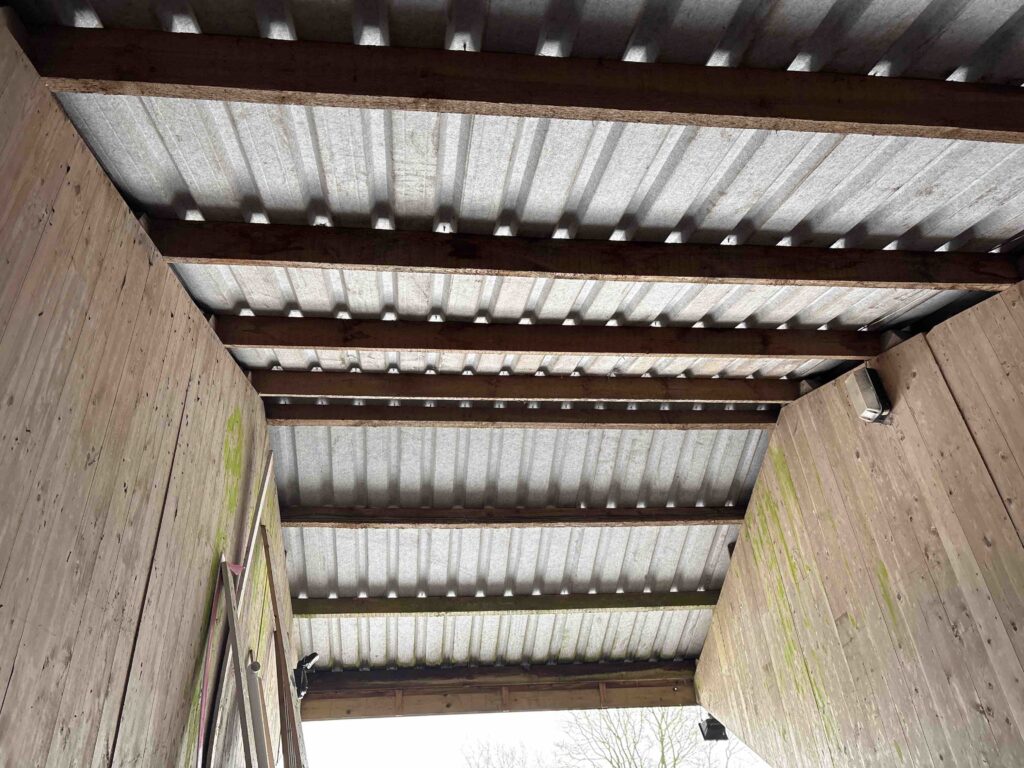 Preliminary Roost Assessment in Market Drayton