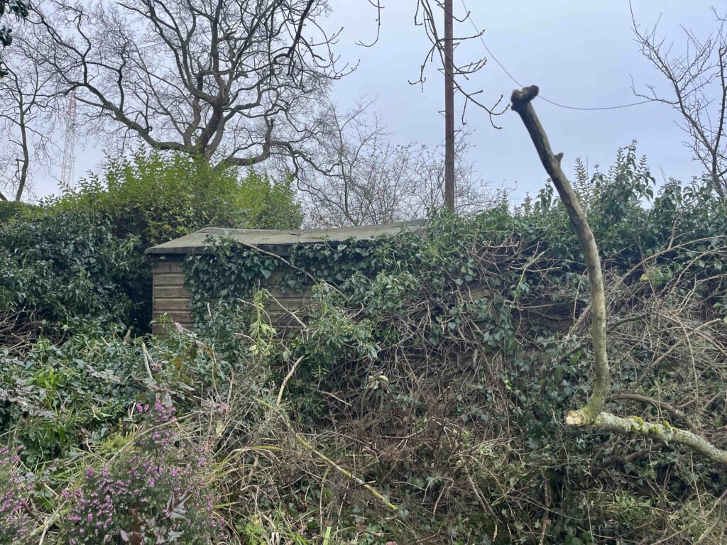 Biodiversity Net Gain Assessment in Warwickshire - ProHort Biodiversity Net Gain Assessment in Warwickshire