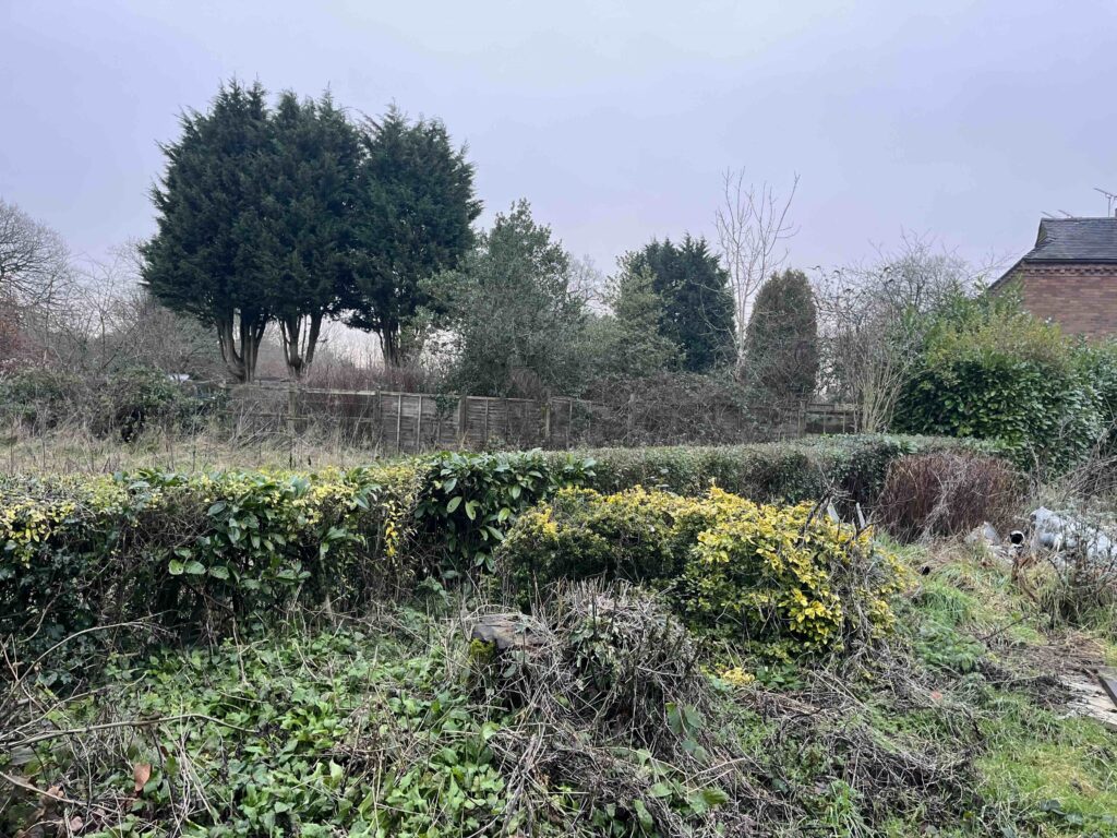 Biodiversity Net Gain Assessment in Kenilworth - ProHort Biodiversity Net Gain Assessment in Kenilworth