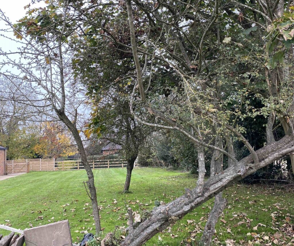 Ecologist in Lancashire - ProHort Ecologist in Lancashire