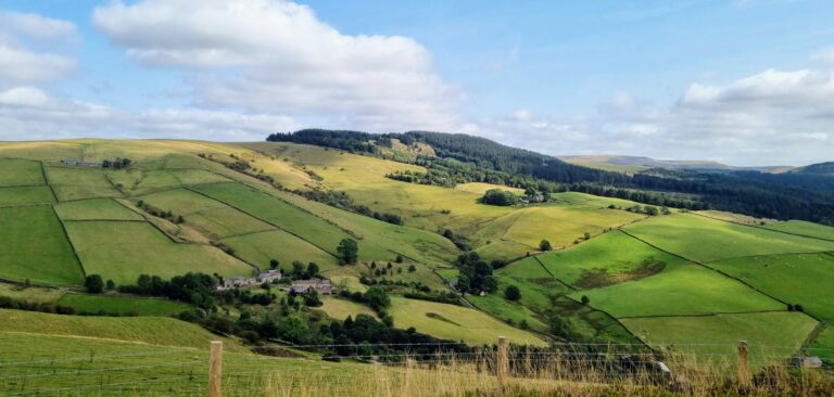 Ecology Surveys in Macclesfield - ProHort Ecology Surveys in Macclesfield