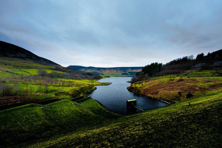 Ecology Surveys in Oldham - ProHort Ecology Surveys in Oldham