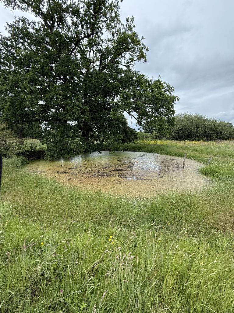 - ProHort eDNA testing in staffordshire