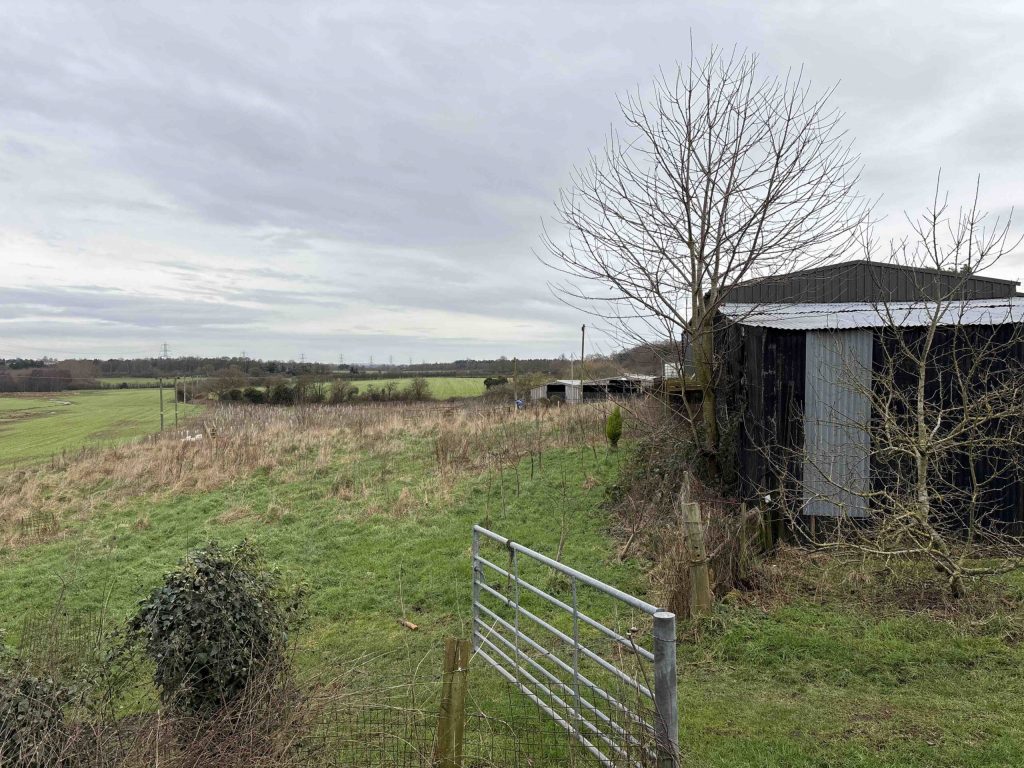 Rural field with a metal farm gate, small shed, and leafless trees