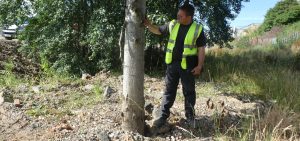 Tree Surveys for Planning