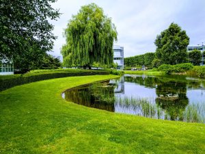 Landscape design considerations across a stretch of water.