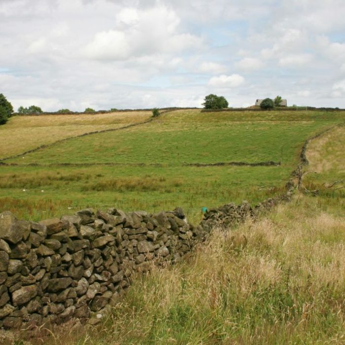 Land with a range a habitat features, may indicate a PEA is needed