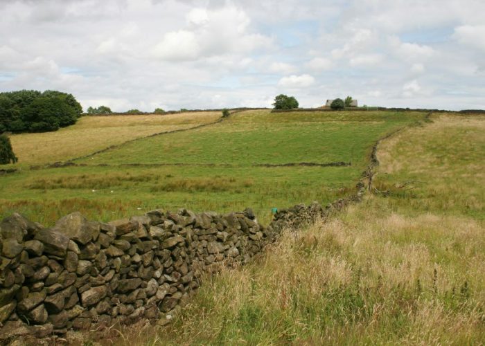 Land with a range a habitat features, may indicate a PEA is needed