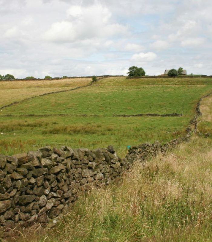 Land with a range a habitat features, may indicate a PEA is needed