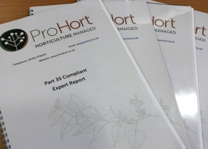 Part 35-compliant Expert Witness Report document displayed on a desk, representing formal expert evidence for legal proceedings.