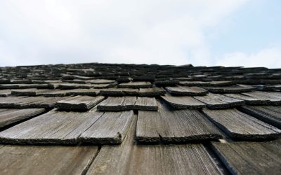 wooden slats on exterior of house, indicating potential bat roosting