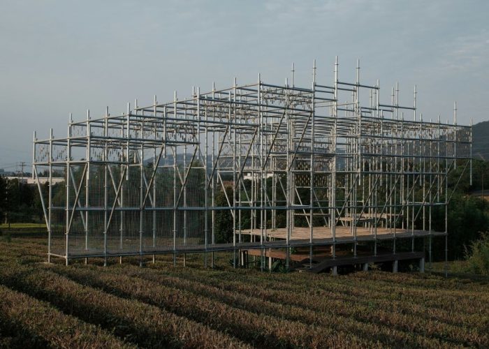 Scaffolding in the development of a field