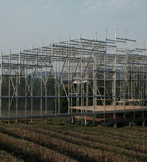 Scaffolding in the development of a field