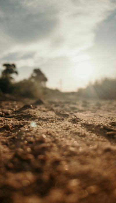 Soil core sample showing varied layers and texture, indicating the need for a professional Soil Report.