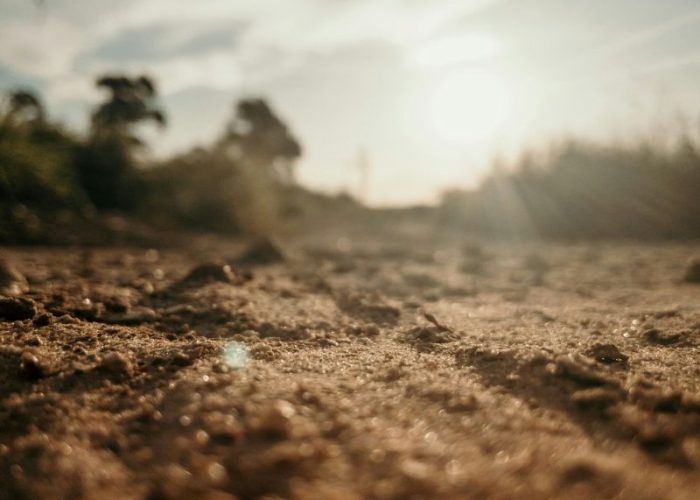 Soil core sample showing varied layers and texture, indicating the need for a professional Soil Report.