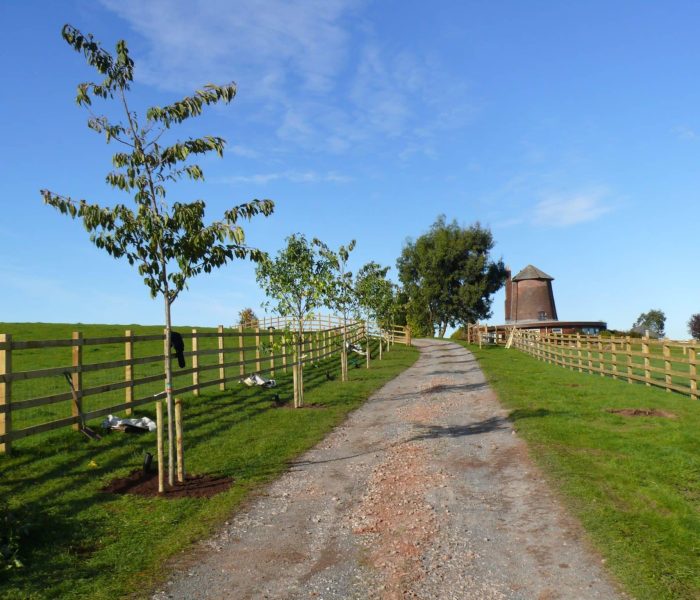 Arboricultural Impact Assessments (AIA)