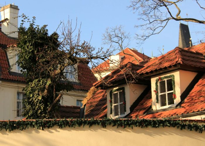Large tree positioned close to a residential house, indicating the need for a Mortgage Protection Tree Report.